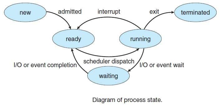 Processor Management