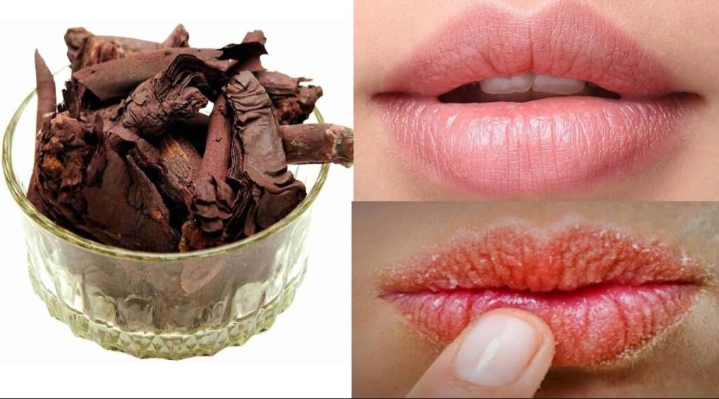 Ratanjot Benefits For Lips | Ratanjot For Pink Lips