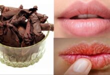 Ratanjot Benefits For Lips | Ratanjot For Pink Lips