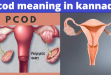 PCOD Meaning In Kannada