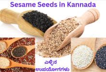 Sesame Seeds in Kannada