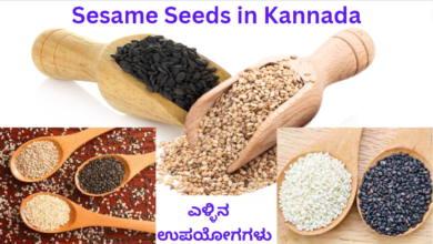 Sesame Seeds in Kannada