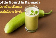 Bottle Gourd In Kannada